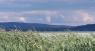 Balaton