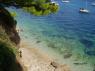 Brač