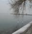 Balatonaligán