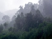 Az El Niño okozza a szokatlan időjárást Japánban