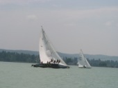 Alig 40 centis a Balaton