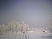Zúzmarás köd varázsolta hófehérré a tájat Békésszentandráson